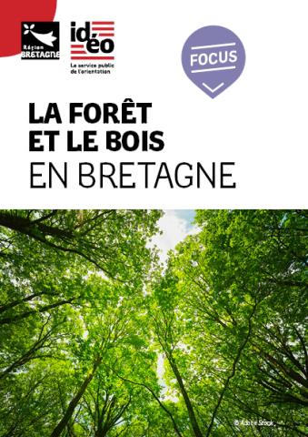 Couverture de la publication &quot;Focus sur la forêt et le bois en Bretagne&quot;