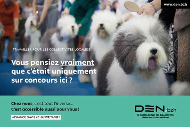 Campagne de publicité pour le site DEN.bzh Campagne de publicité pour le site DEN.bzh